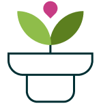 growth